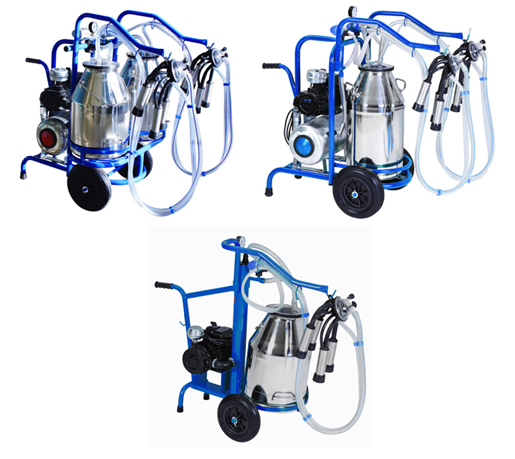 http://newtechagro.ruhttps://www.lekarstvennye-rasteniya.ru/uploads/files/catalog-53/16-07-2015-02.jpg